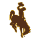 WYO logo