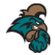 CCU logo