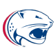 USA logo