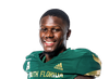Mike Hampton South Florida Thumbnail - NFLDraftBUZZ.com