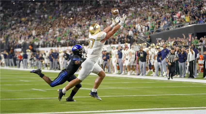 NFL Betting Apps - How to Choose the Best Platform for Your Strategy