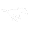 SMU Mustangs