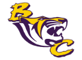Tigers  Mascot