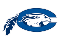 Hawks  Mascot