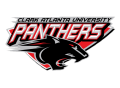 Panthers  Mascot
