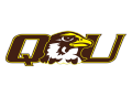 Hawks  Mascot