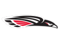 Raiders  Mascot