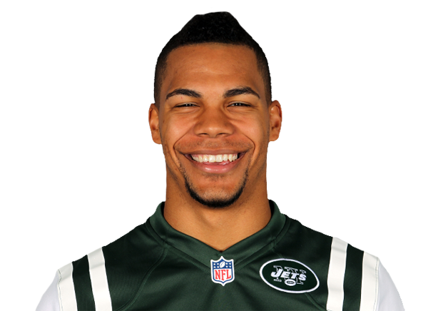 Chaz Schilens Madden NFL 2013 rating