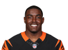 Bronson Hill