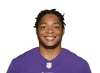 Nigel Warrior