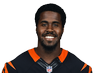 Richard Quinn